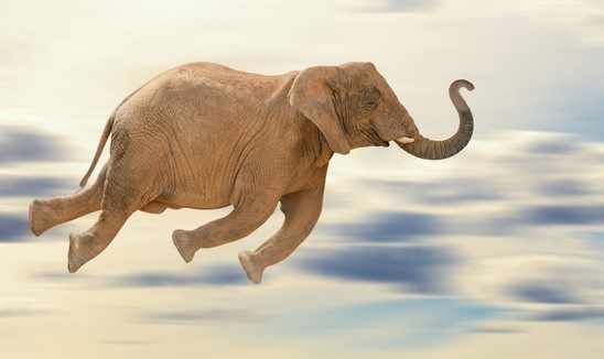 ARKADAŞLIĞA, PAYLAŞIMA ve GEZEGENİMİZE DAİR EĞLENCELİ MACERALAR, UÇAN FİL’İN RENKLİ KİTAPLARINDA!