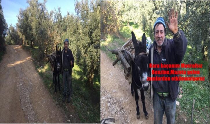 KARAKAÇANIMDAN MEMNUNUM MASRAFI YOK