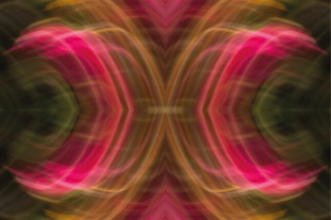 Renkleri ve Duyguları Buluşturan Sergi: Fotoğrafın Sesi