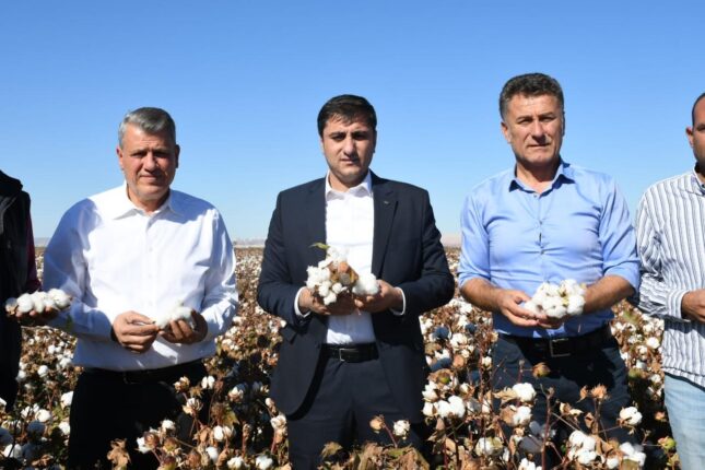 CHP Bursa Milletvekili Orhan Sarıbal; Beyaz altın çiftçiye kefen oldu