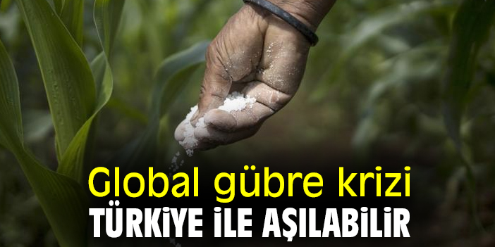 Global Gübre Krizi, Rusya- Türkiye Ticaret Köprüsüyle Aşılabilir