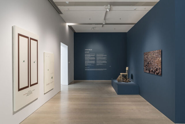 ARTER, 17 KASIM’DA DOĞA KAVRAMINA ODAKLANAN “LOCUS SOLUS ETRAFINDA” BAŞLIKLI ÜCRETSİZ BİR SÖYLEŞİYE EV SAHİPLİĞİ YAPACAK!