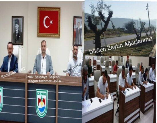 İLÇEMİZİN SİMGESİ KARAELMAS ZEYTİN