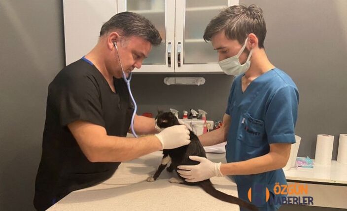 DOHADERN; Katliam çözüm değildir, ışığımız bilim olsun…