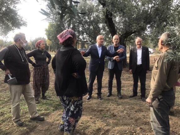 TATLIOĞLU; “Zeytin Üreticilerinin Derdine Derman Olacağız!”
