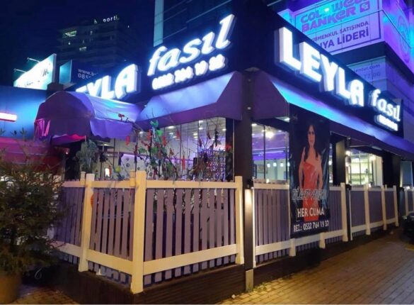 SESİMİ DUYAN VAR MI