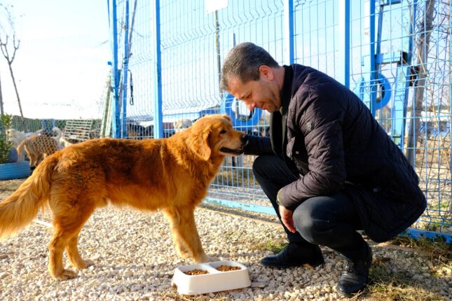 “HER AİLEYİ 1 CAN DOSTU SAHİPLENMEYE BURAYA BEKLİYORUZ”