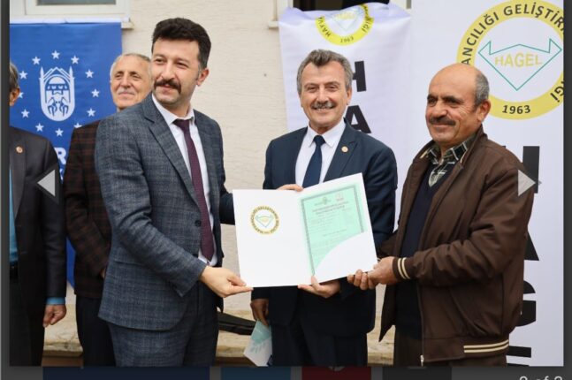 Buğdayın atasına sertifikalı üretim