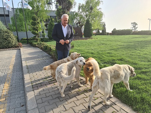 GEBKİM’DEN SOKAK HAYVANLARINA MUTLU BİR YUVA