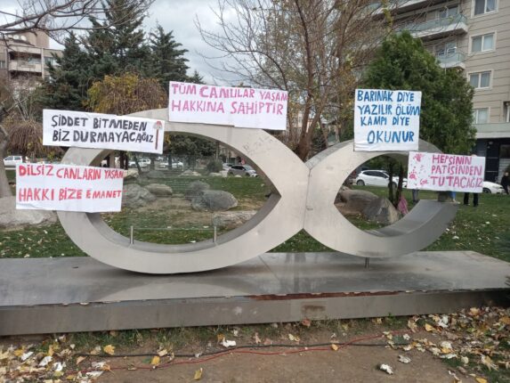 Bursa Hayvanseverleri Ortak Akıl Platformu; “Onlarında Yaşamaya Hakları Var!”