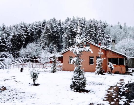 İZNİK’E YILIN İLK KARI DÜŞTÜ