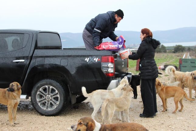 KIRSALDAKİ CAN DOSTLARA GÖNÜLLÜ DESTEK