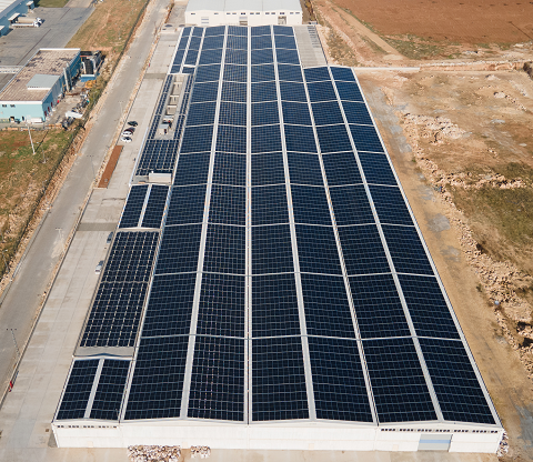 CW Enerji sürdürülebilir gelecek için çalışmalarına devam ediyor