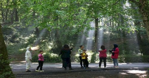 Eyüpsultan’da kişi başına 15 metrekare yeşil alan düşüyor