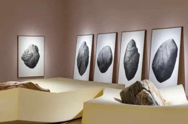 ARTER’İN SERGİ REHBERLERİYLE ÇEVRİMİÇİ BULUŞMA 6 ŞUBAT’TA!