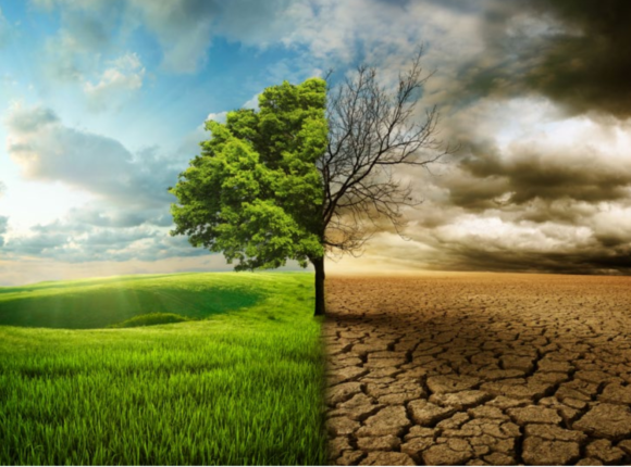 ‘’Küresel ısınmaya karşı önlem almak için artık çok geç!’’