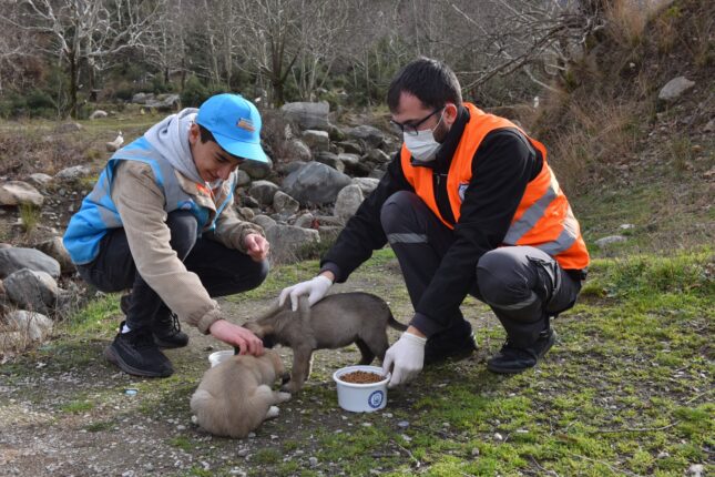 CAN DOSTLARINA ‘YILDIRIM’ ŞEFKAT