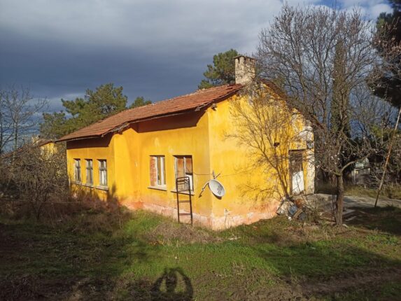 Adı “Yaman” Aslı Sersefil!