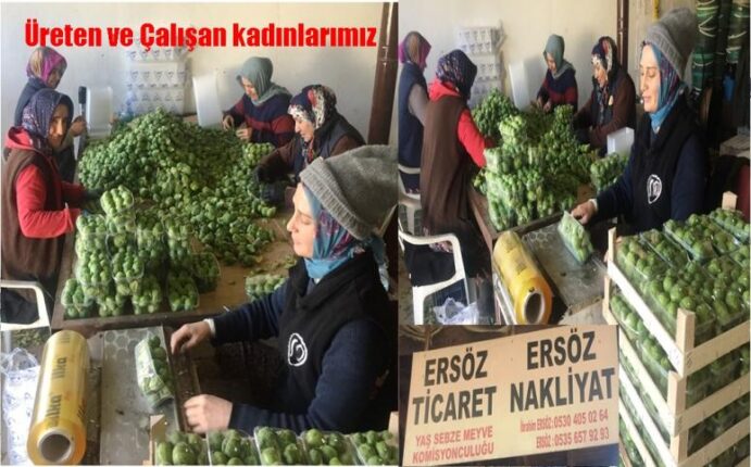 ÜRETEN VE ÇALIŞKAN KADINLAR