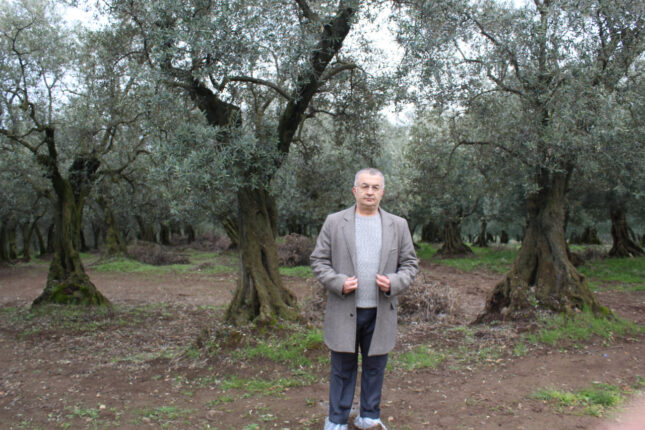 ORHANGAZİLİ VATANDAŞIN TAPU KADASTRO HAKKINI GASP MI ETTİ?