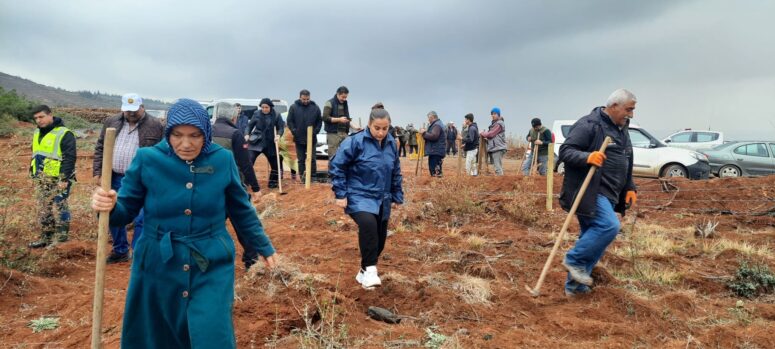 8 Martta Yenişehir’e İYİ Fidanlar!