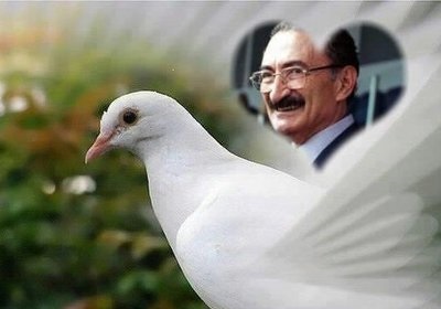 2023 Milletvekilliği Yarışında DSP’de Kadın İlgisi!