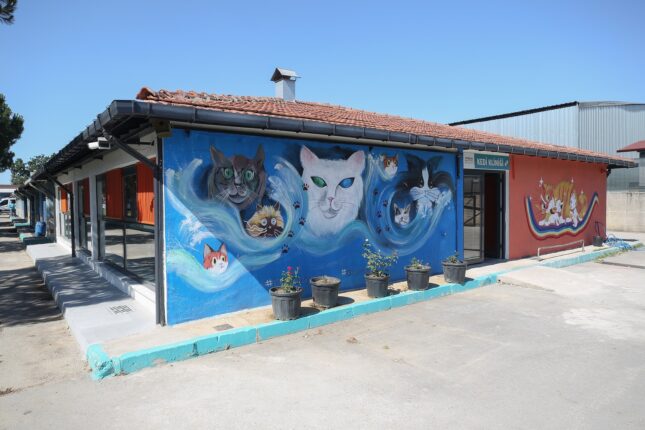 Hitachi Astemo Türkiye can dostlarımızın daima yanında