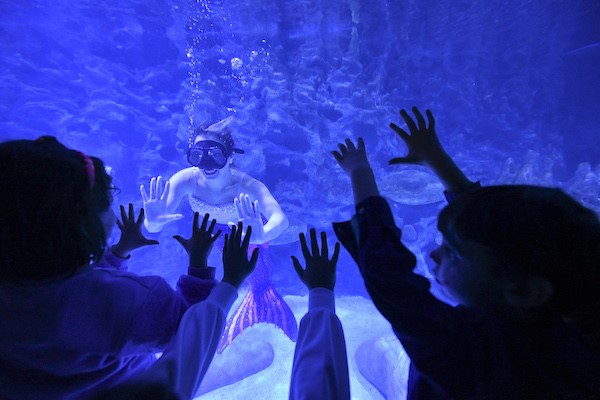 Çocuklar ara tatilde LEGO City etkinlikleri ve deniz kızı gösterisiyle eğlenecek