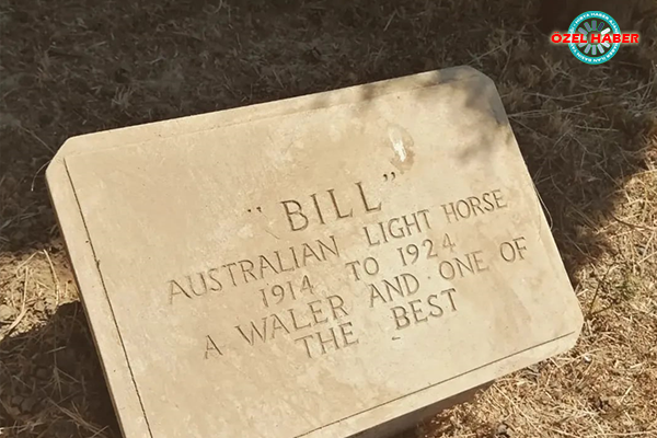 Adına mezar taşı bulunan at