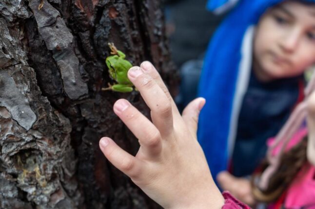 Toprak Okulları  Şenliği Başlıyor