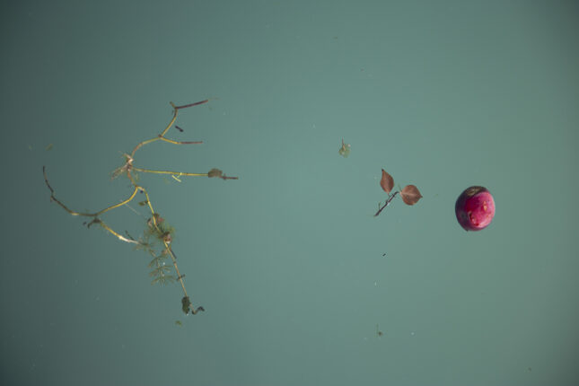 Ateş Alpar’ın İlk Kişisel Sergisi “Taş Kabuk Sessiz” Merdiven Art Space’de Açılıyor