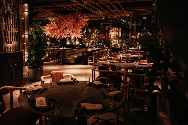 Japon ve Uzak Asya Mutfağının Vazgeçilmez Adresi Bursa’da! Damak Tadınız “MONK” ile Değişecek!