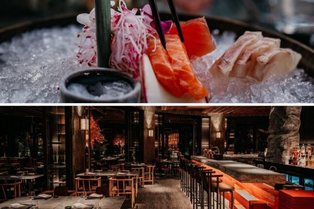 Monk Bursa, Uzakdoğu’nun Seçkin Sushi Lezzetlerine Ev Sahipliği Yapıyor