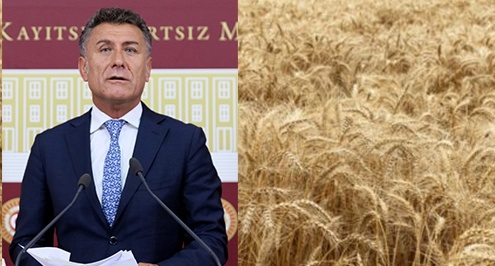 Orhan Sarıbal’dan Çarpıcı İddia; Türkiye, Buğday İthalatında 100 Milyon Tona Koşuyor
