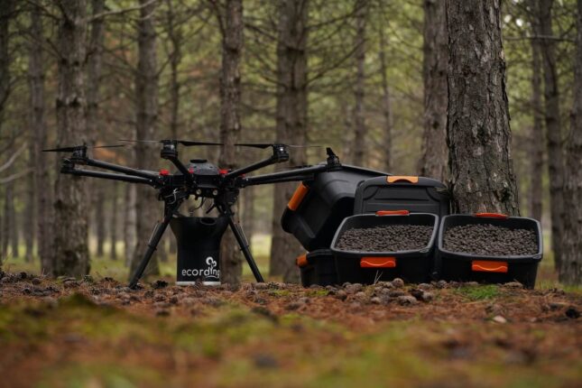 Giyim markası, her alışveriş için tohum topu atışı gerçekleştirdi