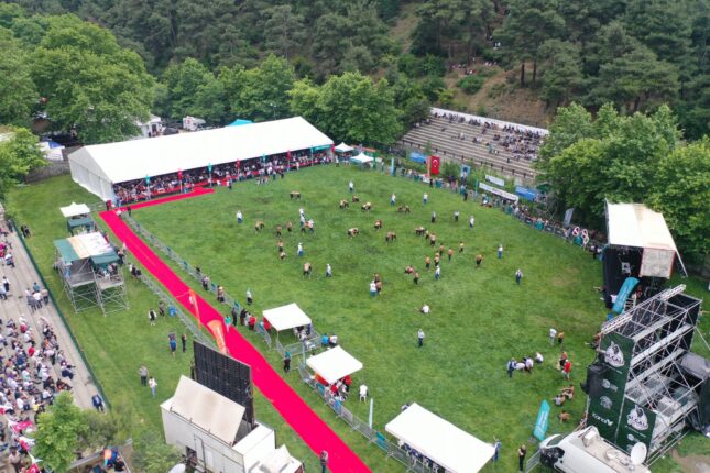 61. ÇALI GÜREŞLERİ’NİN BAŞPEHLİVANI İSMAİL KOÇ