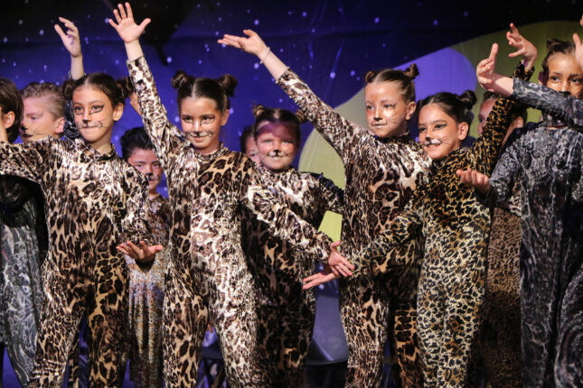 Şahinkaya’da ‘Broadway’ rüzgarları