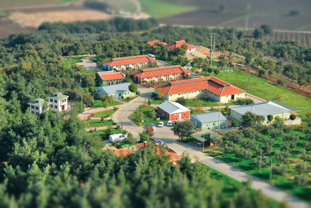 DOHADERN; Sahipsiz Hayvanlar Doğal Yaşam Merkezi’ni İmara Açmak Sessiz Canlara Yapılan Vicdansızlıktır!