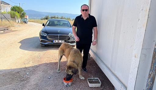 DOHADERN; Sokak Canlarından Kurtulmaya Çalışan Zihniyet İnsanlıktan Nasibini Alamamıştır!