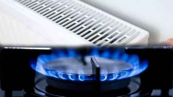 HANİ EVLERDE DOĞALGAZ BİR YIL BEDAVA OLACAKTI?