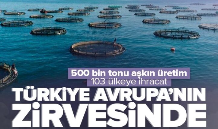 Türkiye, 103 ülkeye su ürünleri ihracatı yapıyor
