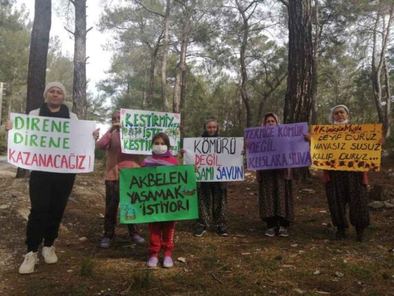 DOHADERN; Ağaç Katliamına Sessiz Kalmayacağız!
