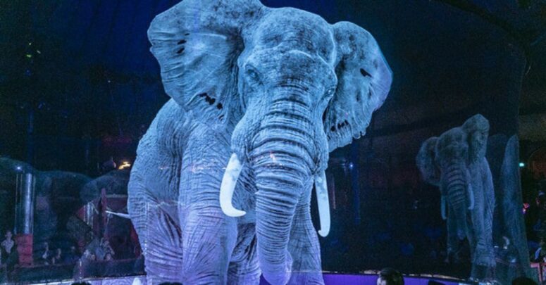 DOHADERN; Hayvan Özgürlüğünü Savunmak İnsanların Temel Görevidir!