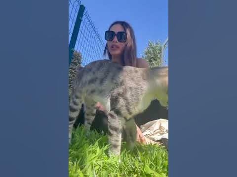 Sevda Demirel sokak hayvanlarını unutmadı!!