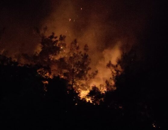 Yenişehir’de Yangına İYİ Müdahale!