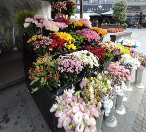 Çiçekler Raflarda Taze Kalacak! O Buluş Bursa’dan!