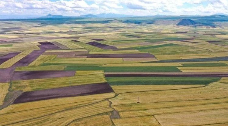 Yatırımcıların odağında arsa piyasası yer alıyor