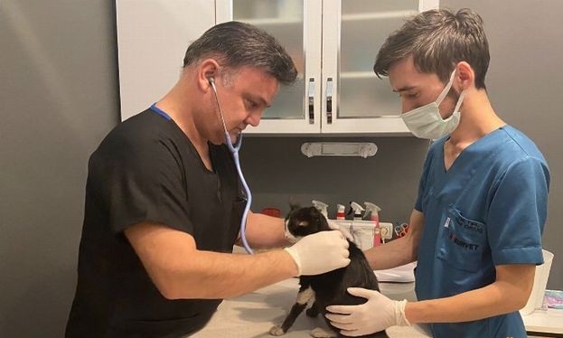 DOHADERN; Hayvanları Bir Meta Gibi Görüyorlar, Doğayı Katlediyorlar!