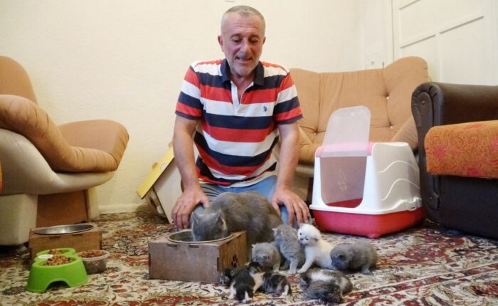 Barınaklara Bir Düzen, Sokak Hayvanlarına destek Lazım!