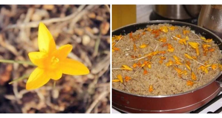 Tokat Turhal’da Nevruzun Gelişini Çiğdem Pilavı ile Kutladılar!